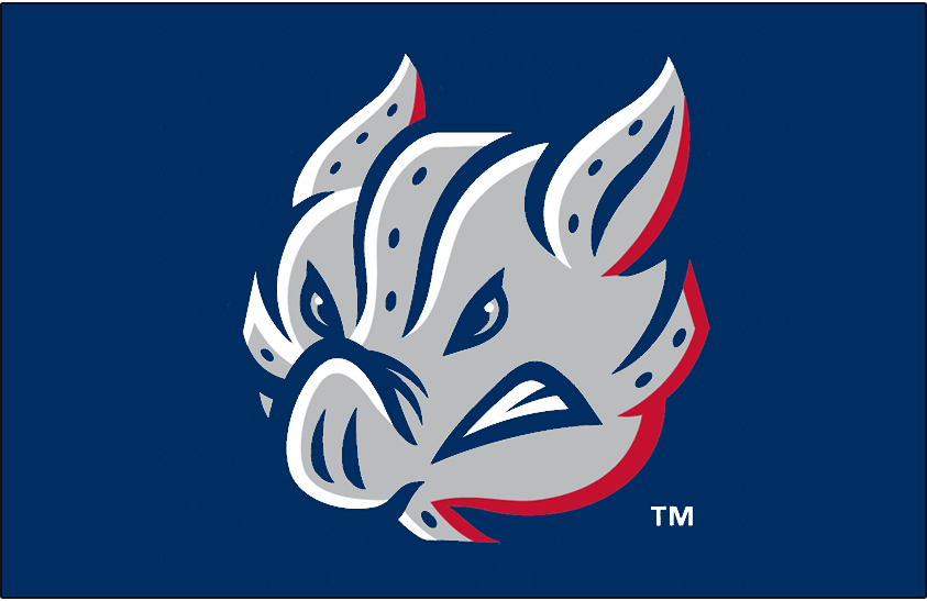 Lehigh Valley IronPigs 2014-Pres Cap Logo iron on paper